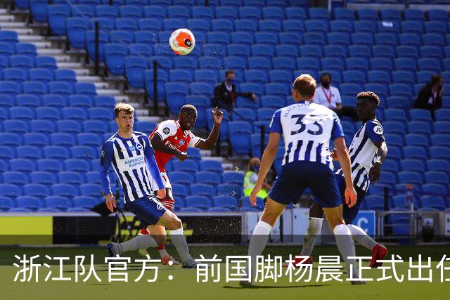 浙江队官方：前国脚杨晨正式出任俱乐部总经理